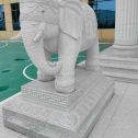 德阳 白麻花岗岩动物异形石雕-大象