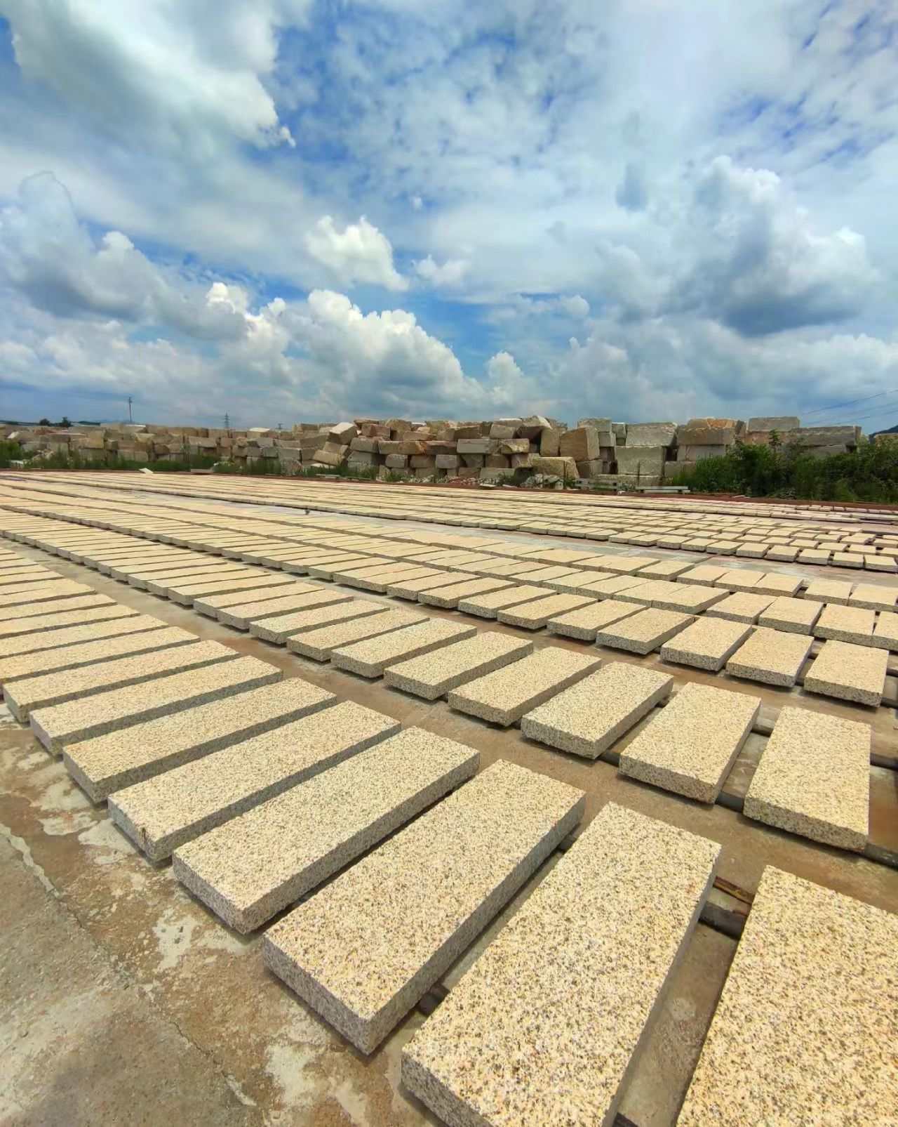 德阳 黄金麻花岗岩荔枝面地铺石防护中